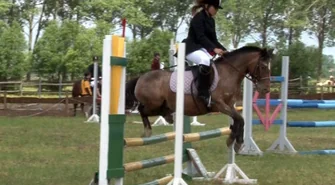 Zawody konne w SKJ „Tradycja” Siedlnica