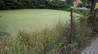 Brakuje chętnych na modernizację zbiornika wodnego w Kowalewie