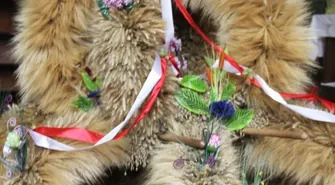 Wyróżnienie na Wojewódzkich Dożynkach