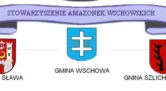 Stowarzyszenie Amazonek w SCKiW