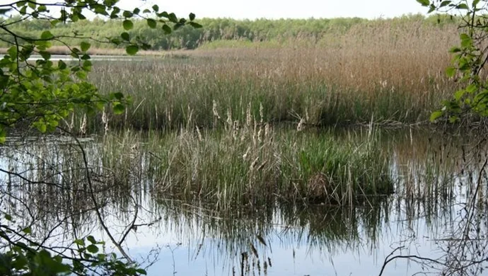 Przełom w sprawie tamy na jeziorze