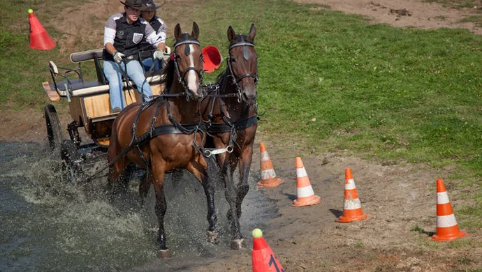 Zaprzęgi w galopie, czyli niedziela w Siedlnicy