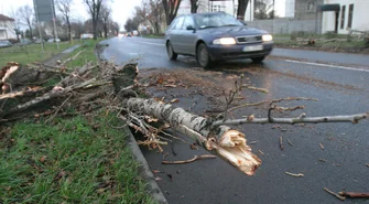 Mocno wiało w lubuskiem