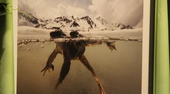 Ogólnopolska inauguracja wystawy Fotografii Dzikiej Przyrody 2011 we Wschowie