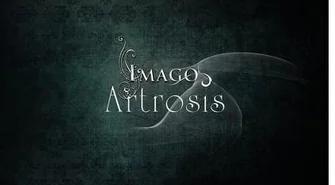 Wygraj bilet na koncert Artrosis