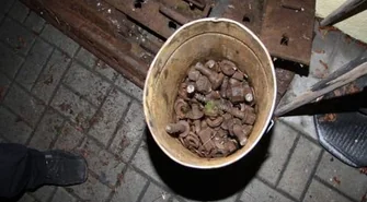 Chcieli ukraść tory... czyli krótka droga do konfliktu z prawem