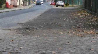 Ciosaniec ochlapaniec