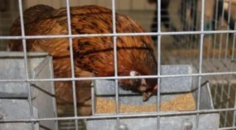 Chcieli sprzedać złom, trafili za kratki