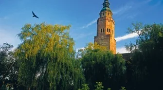 Wschowa na celowniku onet.pl