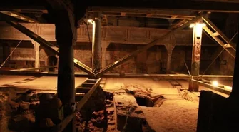 Wydobyli kości, teraz będą badać