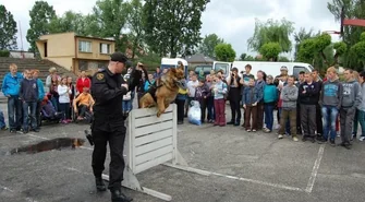 Adermin niczym komisarz Alex na Dzień Dziecka