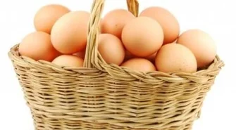 Jaja od przydomowych kur są najzdrowsze?