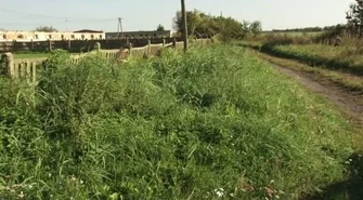 Przełom w sprawie biogazowni. To mieszkańcy i radni zdecydują czy inwestycja powstanie