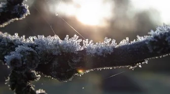 Przygotowania do zimy w Powiecie wschowskim