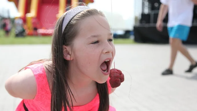 Święto Truskawki 2013