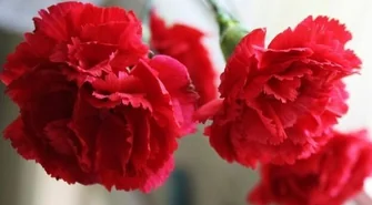 Konkurs Walentynkowy - rozstrzygnięcie konkursu!