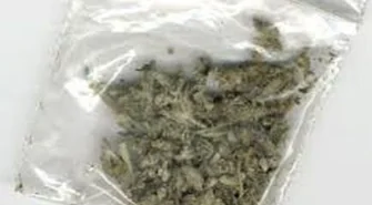 Dwukrotnie przyłapany na posiadaniu marihuany