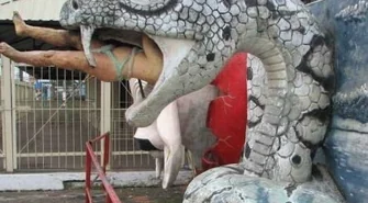 Spotkanie z podróżnikiem Adrianem Krysztofińskim