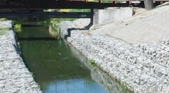 Analiza nie wykazała zanieczyszczeń chemicznych