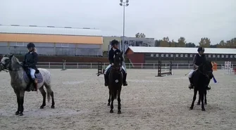 Sukcesy zawodników SKJ ,,Tradycja"