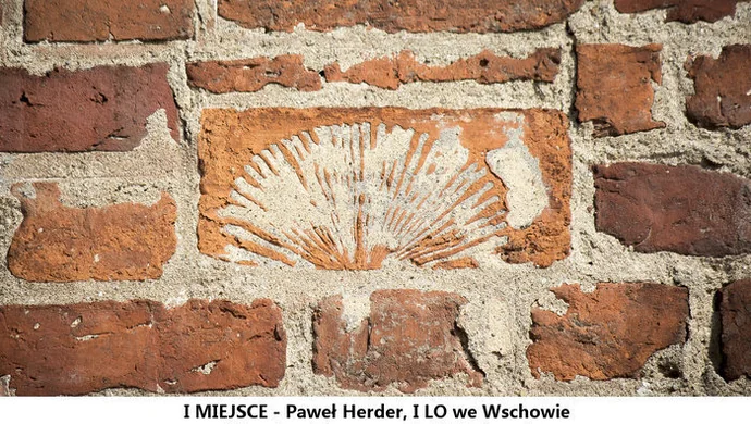 Paweł Herder zwycięzcą konkursu fotograficznego