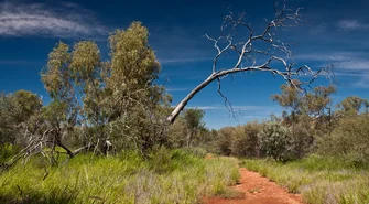 Mr. Outback - Australijska Przygoda z Twórczymi Horyzontami