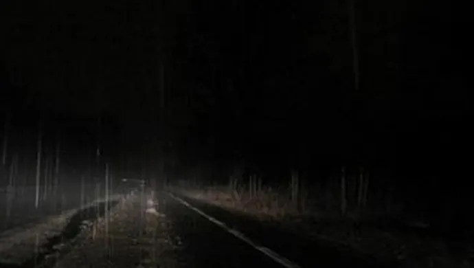 Ciemno jak... w Osowej Sieni