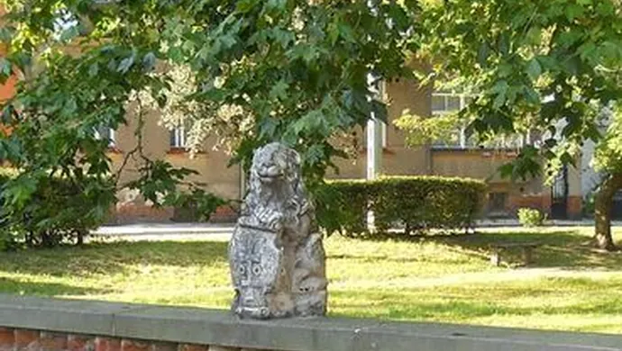 MZW: Konkurs ,,Obudźmy lwa"