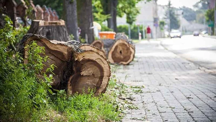 Sprzątanie po sobotniej burzy