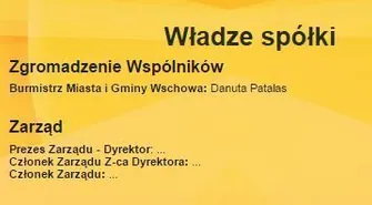 Zmiana statutu, zarząd jednoosobowy