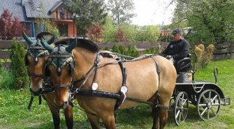 Sukcesy zawodników z SKJ Tradycja