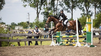 IX Jeździeckie Mistrzostwa Ziemi Wschowskiej