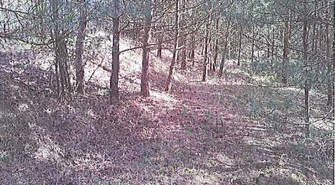 I przetarg - nieruchomość niezabudowana w Hetmanicach