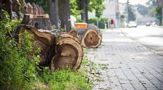 Sprzątanie po sobotniej burzy