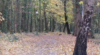 Sława: Spotkanie odnośnie rewitalizacji parku