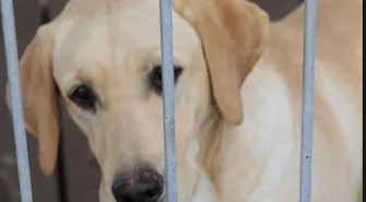 Wyjątkowy kalendarz na 2016 rok