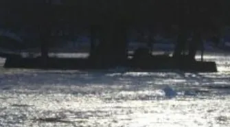 Zaniepokojony syn powiadomił służby ratownicze