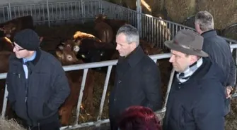 Goście z Luckau w Sławie