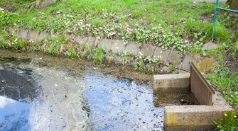 Skrócić trawę o dwa centymetry