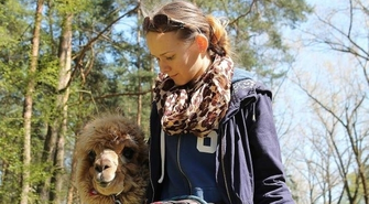 O tym, jak Iwona walczy z Willsonem