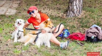 Wakacje z psem w Sławie, czyli Dogtrekking 2016