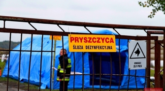 Ćwiczenia symulacyjne: Zwalczanie pryszczycy ze szczególnym uwzględnieniem bioasekuracji