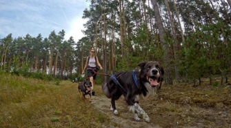 Zaproszenie na dogtrekking w Sławie