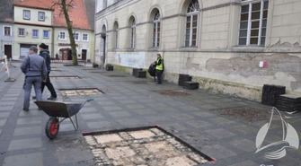 Niebawem pojawią się nowe lipy