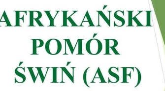  Jak postępować w przypadku znalezienia padłego dzika? Uwaga, zagrożenie ASF