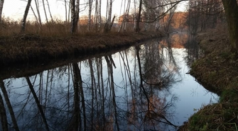 Podsumowanie działalności powiatowego inspektoratu