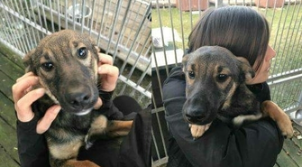 Mała Alga poleca się do adopcji