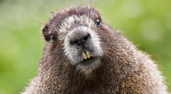 Widmo podtopień zagląda w oczy mieszkańcom gminy Sława?