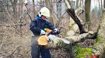 Park w Buczu uporządkowany