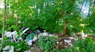 Foto pułapki w gminie Krzemieniewo?